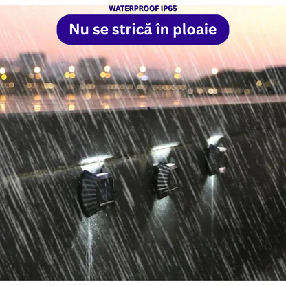 SET LAMPI SOLARE IN FORMA DE SCOICA