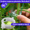 SET CLIPSURI PLANTE